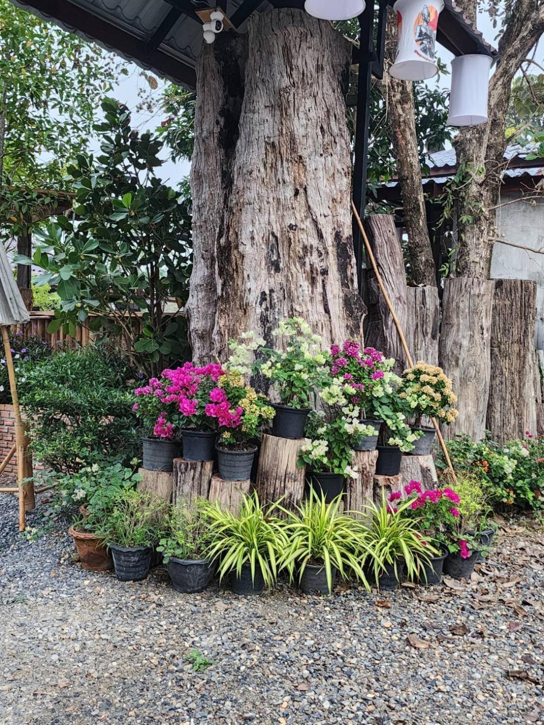 Suk Sabai Homestay Sukhothai Ngoại thất bức ảnh
